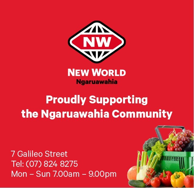 New World Ngaruawahia- Ngaruawahia Primary School - Apr 24