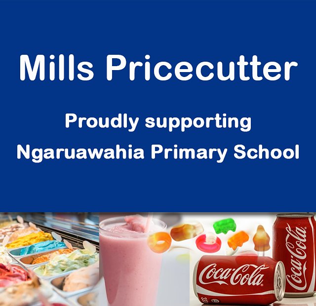 Mills Pricecutter - Ngaruwahia Primary School